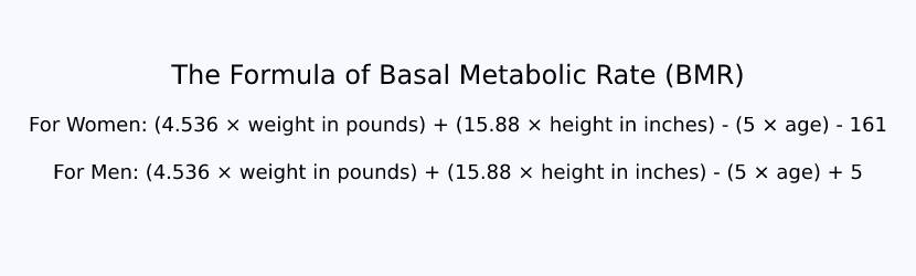 Basal metobolic rate formula